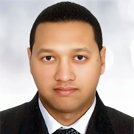 Hany Abdel Satar Elkashef