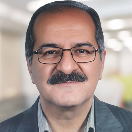 Masoud Rashidinejad