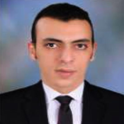 Fares Soliman Mohamed Gomaa Salama