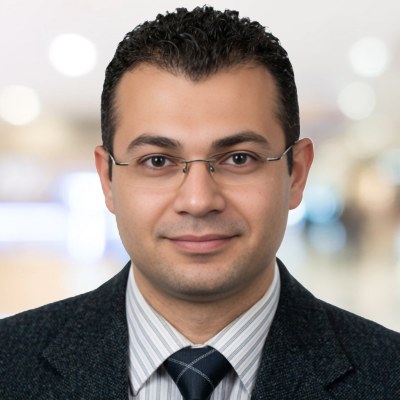 Hassan Awny Fouad Rahmy  
