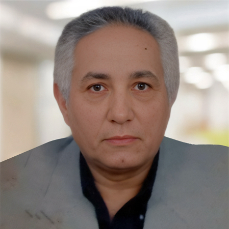 Mohamed Moustafa Shoukry